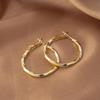 2025 Women's Möbius Hoop Earrings: Light Luxury & Nordic Retro Style
