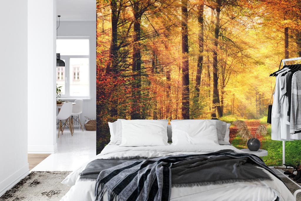 Photomural Forest Autumn Colors Self-Adhesive Mural 180x120