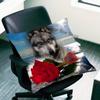 Alpha Sigma Wolf Cool Kissenbezug für Sofa-Dekor Auto Büro Zimmer Druck Kissenhülle Dekorationen und Schutz