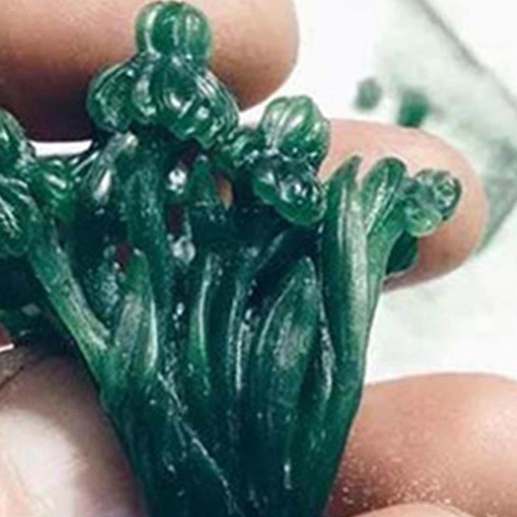 Carving Wax Block Jewelry Making Wax Sculpting Wax Crafting Wax Engraving Wax Carving Wax Sheet Jewelry Carving Wax
