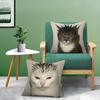Funny And Interesting Animals Funs Pillow Case Double-Sided Plush Sofa Cushion Covers Organic Breathable Invisible Zipper
