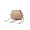 Imitation straw bag female messenger bag new niche small square bag chain bag mobile phone bag mouth gold bag shell bag