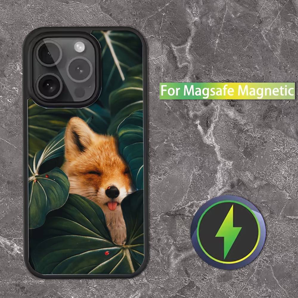 Cute Fox Cartoon For iPhone 11,12,13,14,15,16,17,Pro,Max,Plus,Mini,SE4,E Phone Case Magnetic For Magsafe Wireless