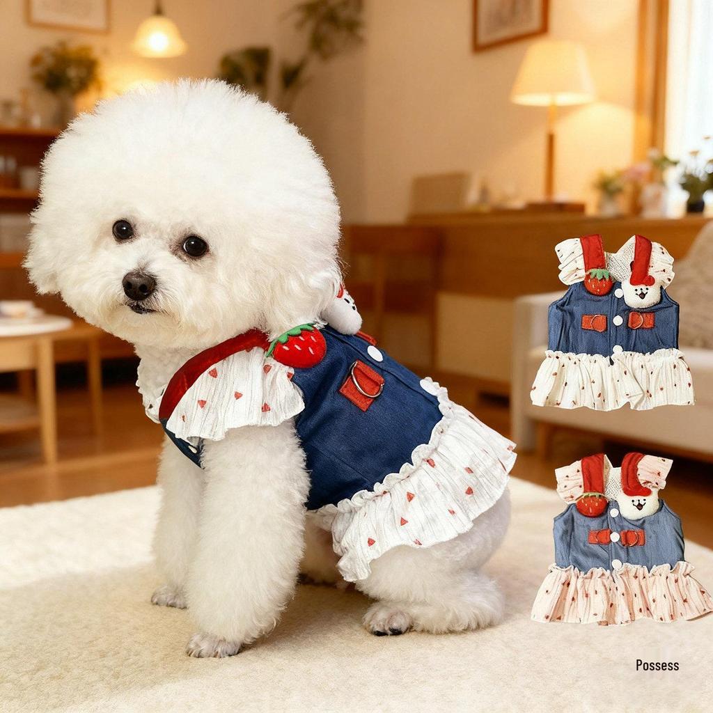 Denim Teddy Bichon Puppy Clothes for Small Dogs - Cute Leashed Harness, Autumn/Spring Style