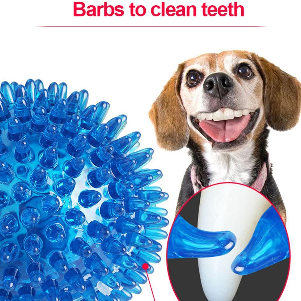 Chewers For Golden Retriever Large Dogs Hedgehog Ball Interactive Toys Spikey Balls Dog Balls