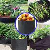 Fabric Grow Bags Thickened Felt Plant Grow Bags with Handles Breathable Planting Bags Grow Pots for Flowers Tomatoes Cucumbers