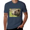 Alaskan Bear Tshirt Stylish Graphic Short Sleeve Top