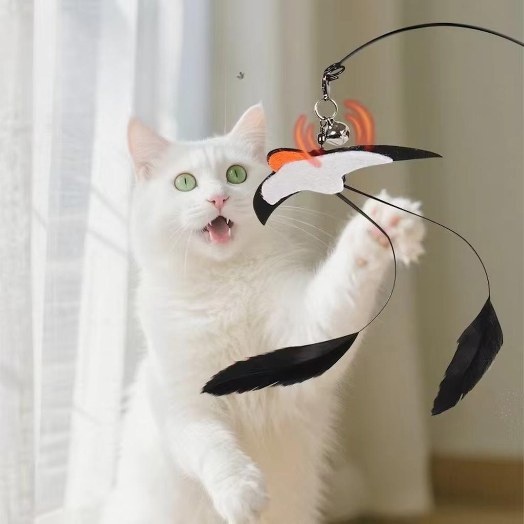 Walfront Interactive Multi Toys for Indoor Cats – Keeps Multiple Cats Busy, Reduces Aggression & Boredom
