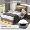 Upholstered Bed Large Storage Space LED Lighting Sturdy Construction Good Load Capacity with USB Ports Modern Upholstered Bed Bedroom