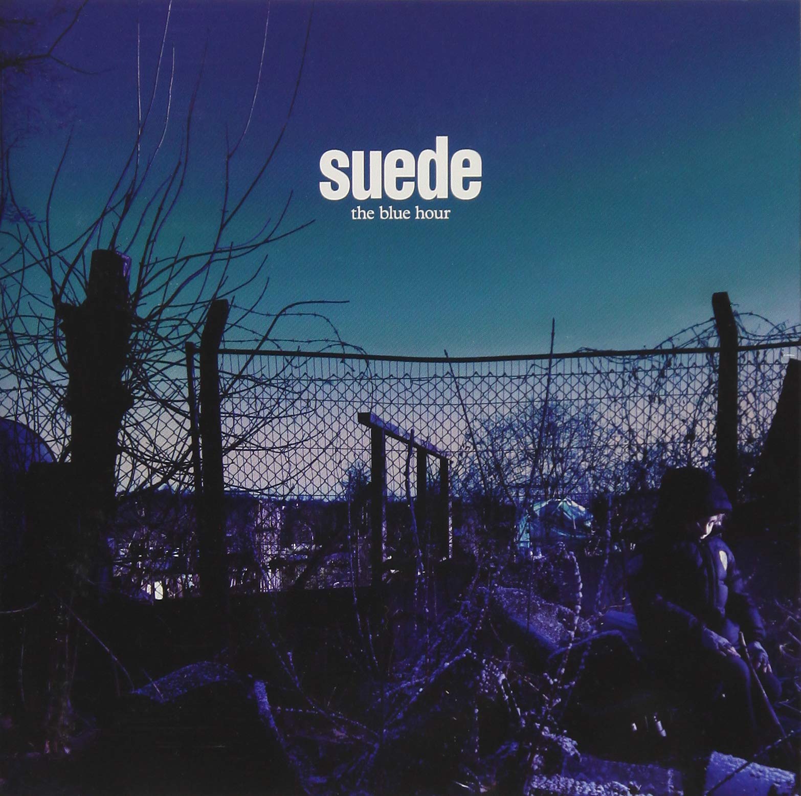 

Блакитна година