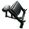 Preacher Curl Bench