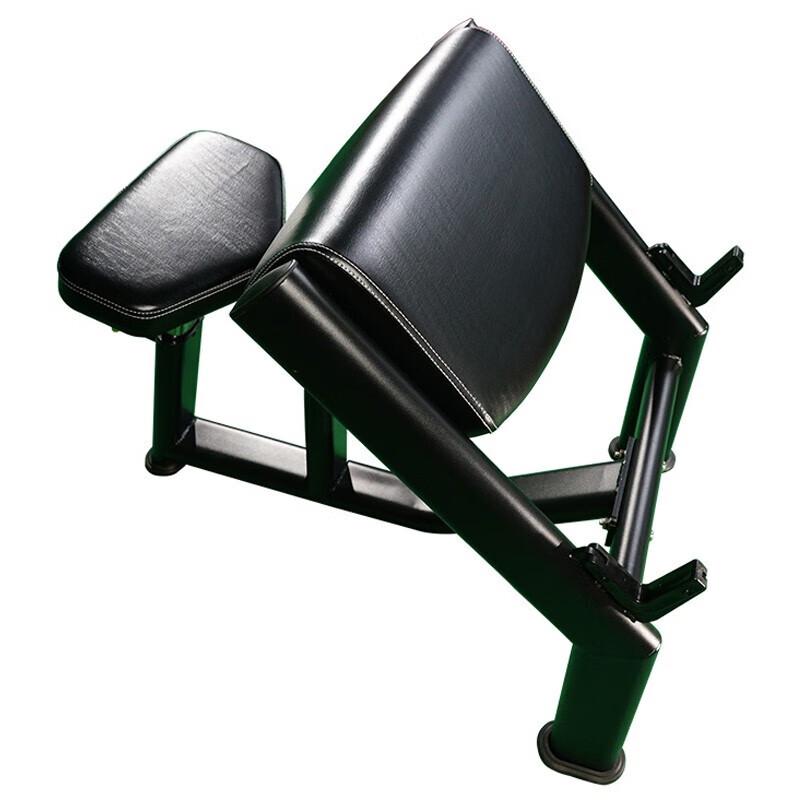 Preacher Curl Bench