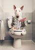 Canvas Print Wall Art for Pet Lovers,for Home Decor  Bedroom,Kitchen,Living Room,Bathroom, Hotel 1pc Playful Dachshund On Toilet