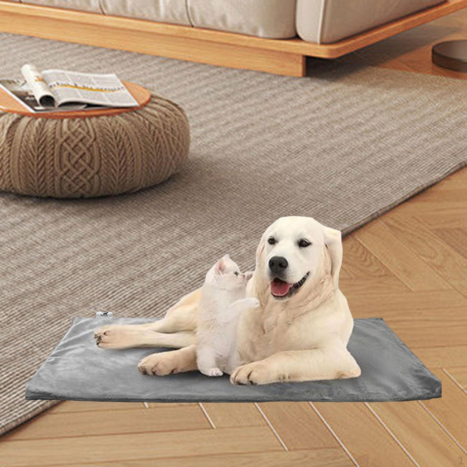 

, Professional Electric Pet Heat Lamp with Adjustable Temperature for Dogs And Cats. 30cmx35cm_3 Level Adjustable