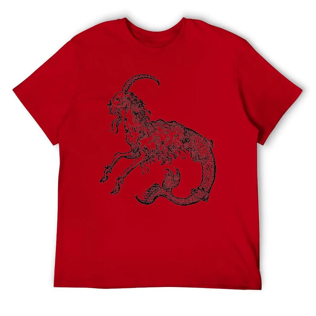 Capricorn Twelve Constellation (4) T-shirt Harajuku Move Tshirt Vintage Home Funny Novelty USA Size