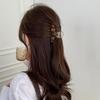 South Korea 2025 Internet Celebrity New Acrylic Grab Clip Ins Back of Head Ball Head Disc Hair Pin Hair Accessories