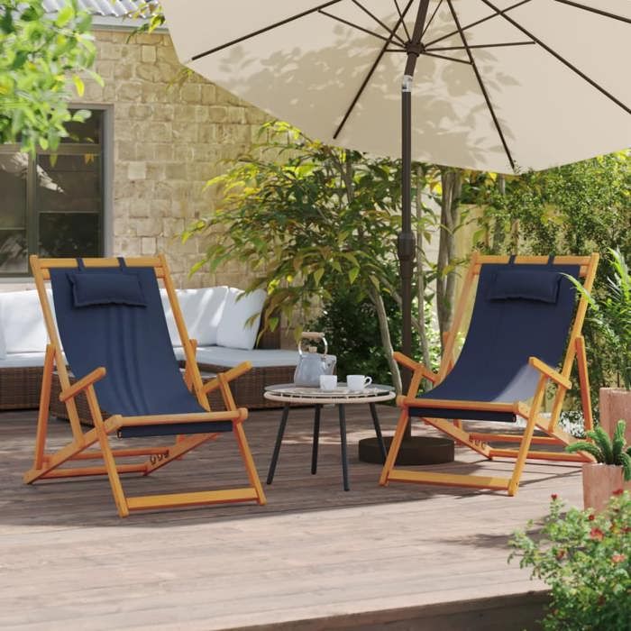 VidaXL Lot de 2 Chaises de Plage Pliables, Sièges de Terrasse, Chaises de Balcon, Meubles de Patio Camping Jardin Extérieur, 3214481