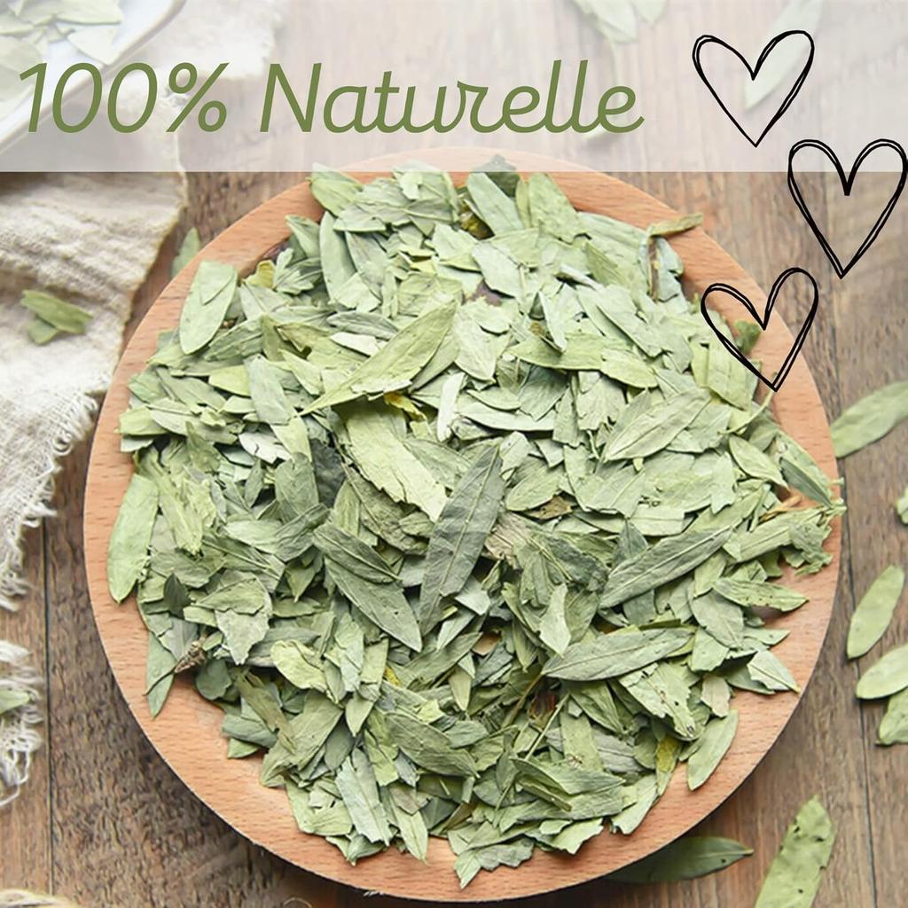 Senna Makki Leaves 50g Whole – Natural Herbal Laxative & Colon Cleanse – Supports Healthy Digestion and Bowel Movement – Detox Herbal Tea