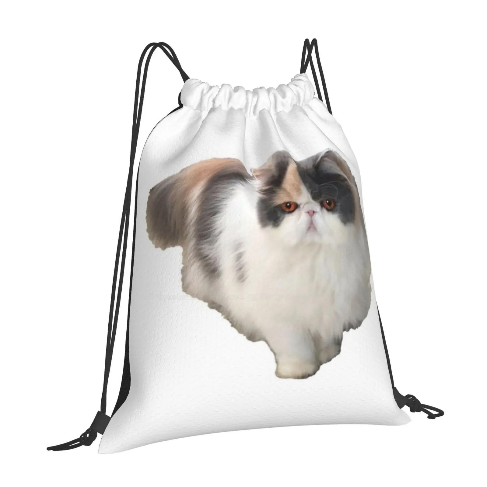 Summer The Persian Cat New Arrivals Unisex Bags Student Bag Backpack Summer Persian Cat Australian Cat Cats Persian Kitten OneSize