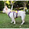 Dog Leash Small and Medium Dogs Pet Chest Strap Reflective Protection Shock Absorption Dog Chest Pet Leash Leash