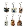Trendy Toast Cat Dog Key Rings Pendant Acrylic Animal Theme Keychain Accessories
