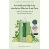 DR.SEED Teatree & Lime Vegan Oily Care Cool Anti-Hair Loss Shampoo 1000ml ,Water Scaler 500ml, Treatment Scalp Pack 250ml (13 Options)