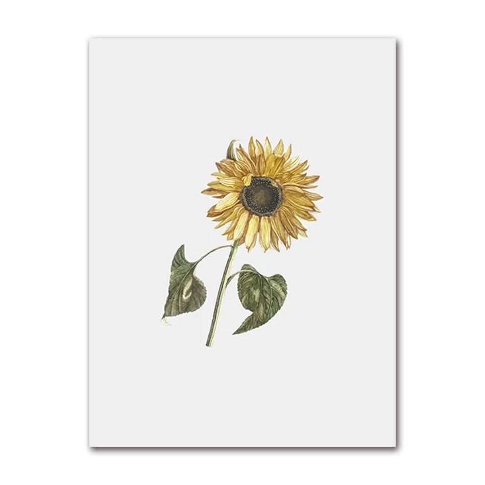 Vintage Wildpflanzen Poster Botanische Blumendrucke Leinwandmalerei Moderne Wandkunst Bilder für Wohnzimmer Dekoration