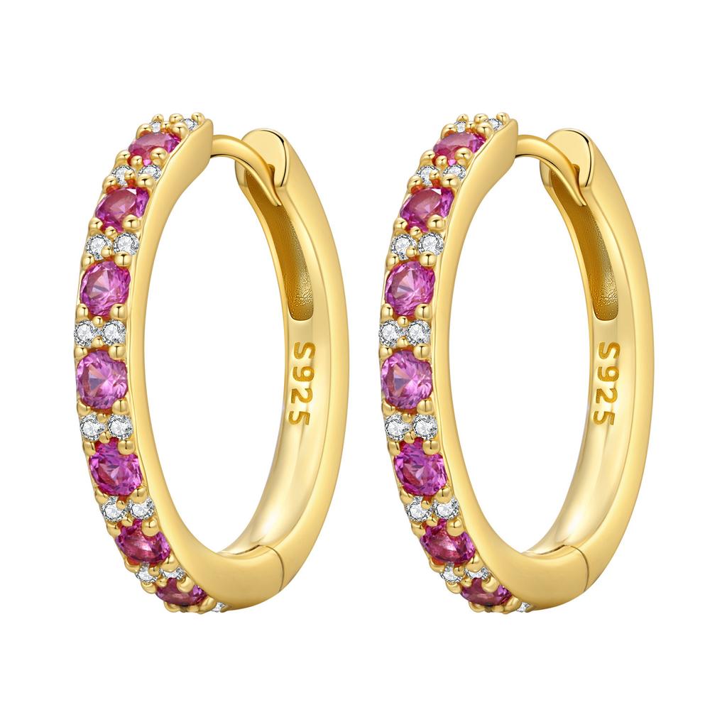 Orstarry S925 Silver Earring Versatile Purple Blue Green Zircon Earrings Gold Plated Earrings Women Birthday Gifts