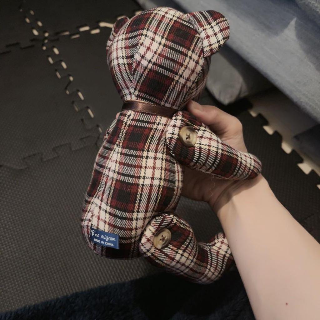 [GEBRAUCHT] Das ist ein niedliches Teddybär Kariertes Plüschtier