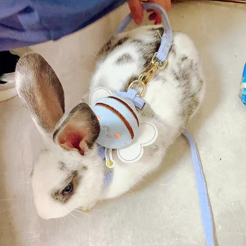 Adjustable Bunny Cat Dog Harness and Leash Set Walking Pet Harnesses for Small Animals Cats Rabbit Mascotas Accessories Supplies