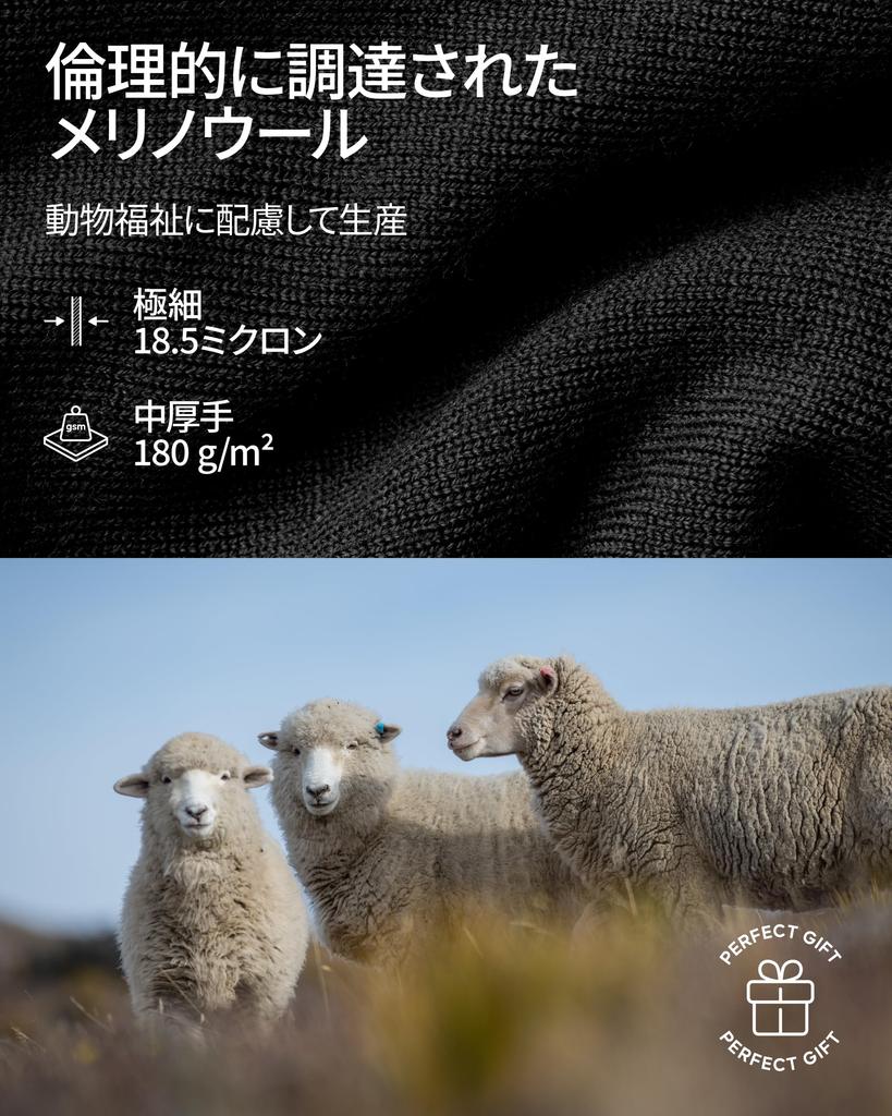 DANISH ENDURANCE Merino Wool Base Layer and with or Without Front Dark Size L Men's Tights, Breathable, Antibacterial, Odor-Resistant, Opening, Green,