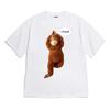 Funny Monkey Meme Korean Slogan Summer New Graphic Tshirt Casual Unisex Streetwear Short Sleeve Y2k Street Vintage Unisex Tops