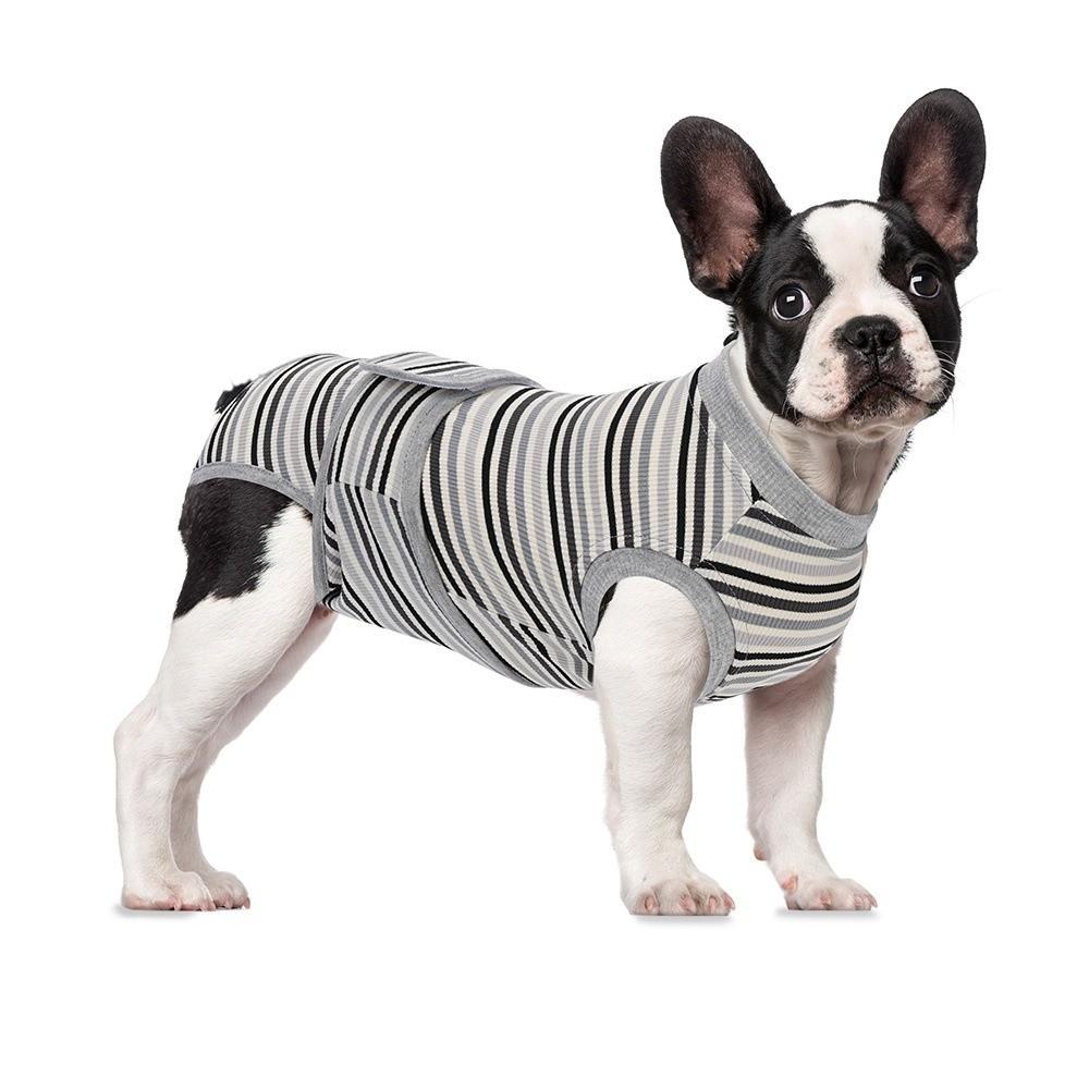 Breathable Dog Sterilization Suit High Elastic Dog Recovery Suit Daily Wear S серый