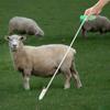 Leg Crook Catching Tool Goat Grabber Sheep Holder Catcher Hook 50cm