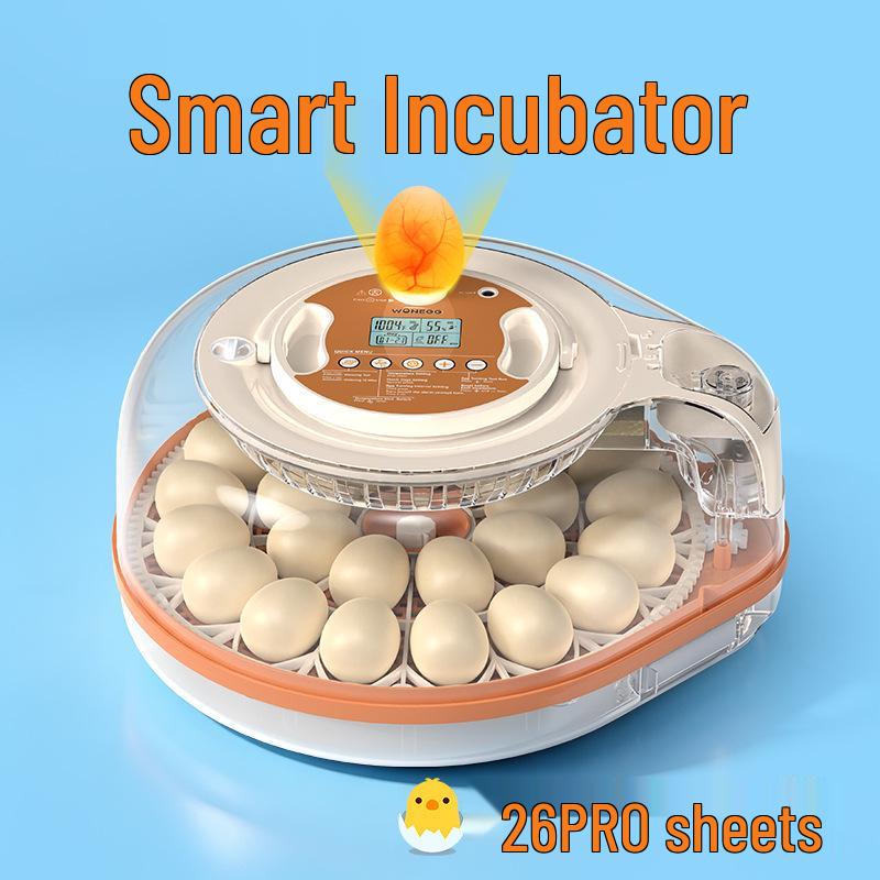 Smart Mini Egg Incubator for Parrots and Budgies: Automatic Pet Hatchery Equipment