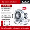 High-Pressure Vortex Aerator Fan: Aquaculture Air Pump and Oxygenation Blower