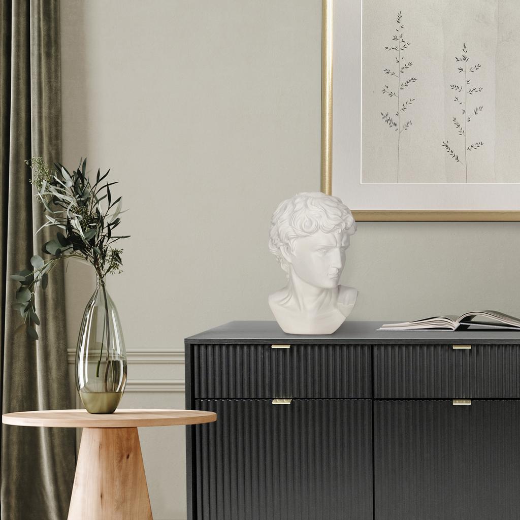 DECORATION white head of David made of plastic CLASSIC