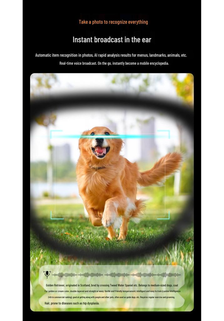 AI Multifunctional Glasses CY01: 8MP HD, Smart Calls, Anti-Blue Light