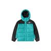 THE NORTH FACE HIMALAYAN Down Jacket Men's Blue (Unisex) Down Jackets NF0A4QYX ZCV