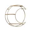 11 In Wall Mounted Shelf Gold Metal Decorative Display Rack  Living Room Display