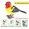 Interactive Singing Knight Bird: Voice-Controlled, Chirping, and Moving Toy for Kids