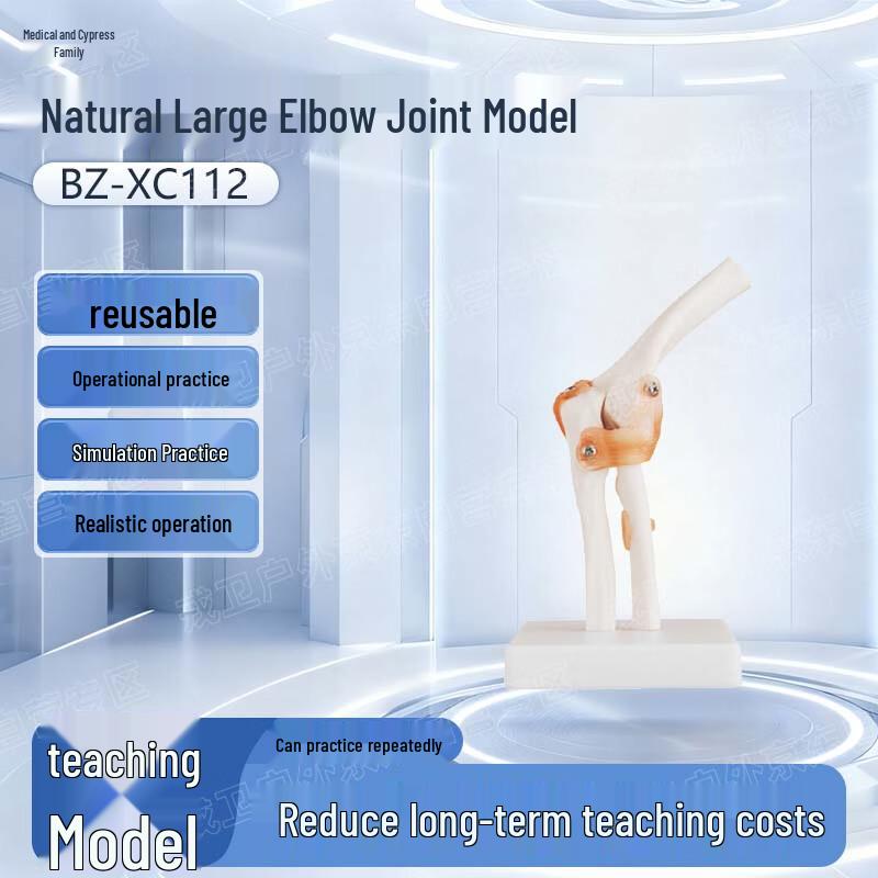 Realistic Human Elbow Joint Model