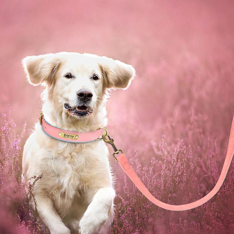 5ft Leather Dog Leash Durable Pet Walking Training Lead Leash Rope for Small Medium Large Dogs Pitbull Pug Erman Shepherd