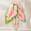 Layered Leaf Decorative Wall Clock Medium Size for Living Room, Bedroom
