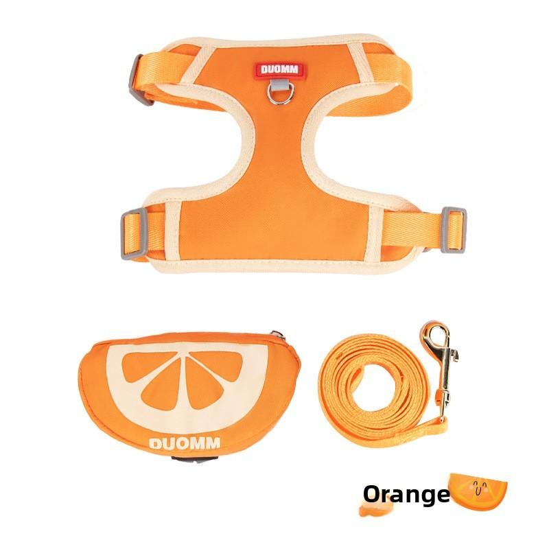

Pet Leash For Small Dogs With Lemon And Orange Design Non Extendable Polyester L