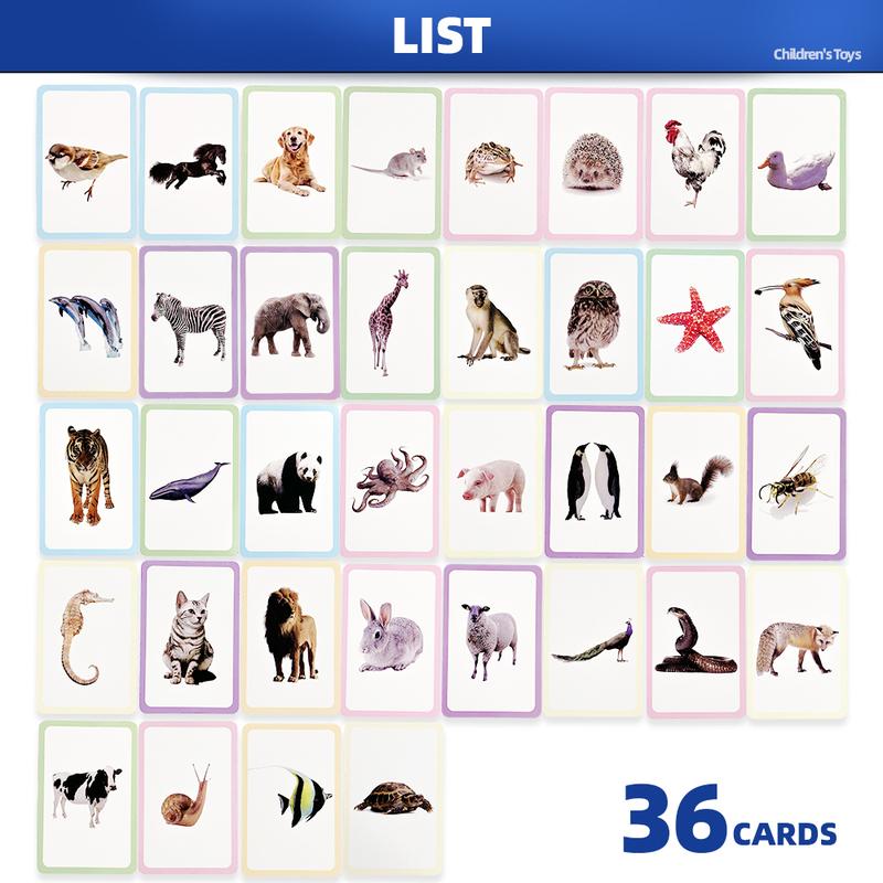 36 Double-Sided Animal Recognition Cards for Kidsren's Enlightenment and Learning Through Pictures, Paper-Based Fun Teaching Cards