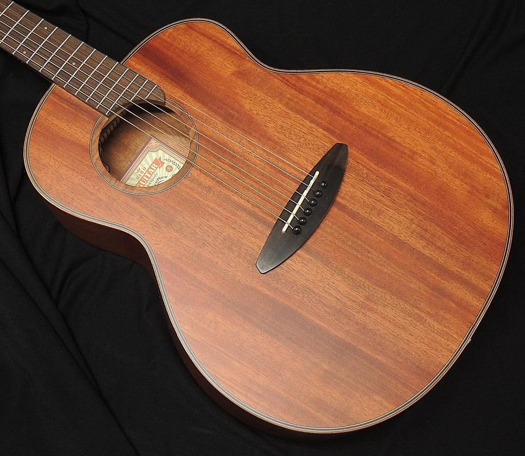 aNueNue Bird Guitar Solid Mahogany Top Mahogany single board top aNueNue acoustic guitar electric acoustic aNN-L20E