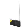 Portable Home Using Digital Radio for DAB 2.4 Inch LCD Display Screen Stereo Output