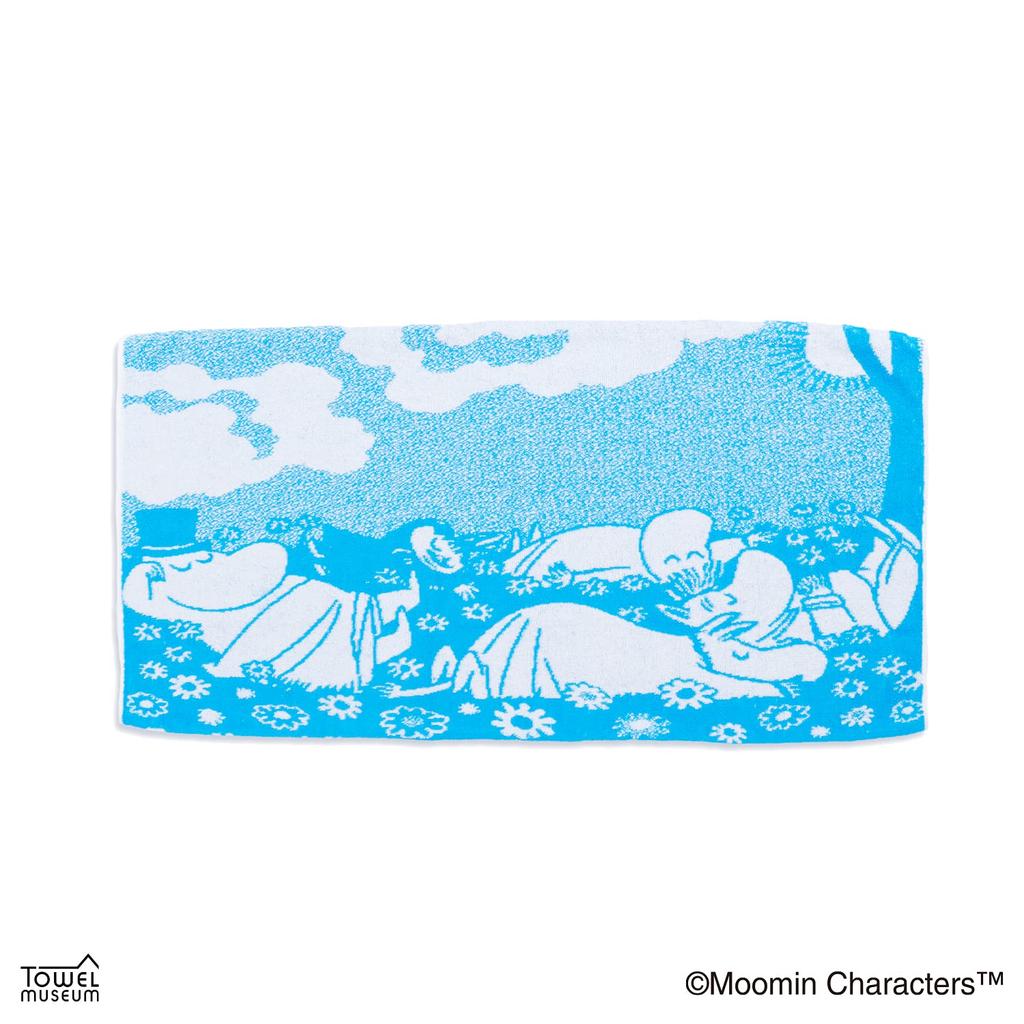Towel Museum Moomin Flower Garden Moomin Hydro Silver Titanium Antibacterial and Odor 64 X 34cm Pillowcase, Blue, Coating, Resistant, 47-8167280,