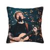 Decorative Pillow Covers Ed Sheeran Loop Tour 2026 Accessories Bedroom  Throw Pillow Case Cover Zippered Multi Size